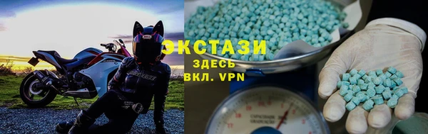 ECSTASY Богданович